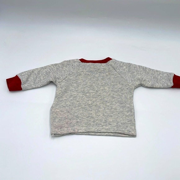 NWT 100% Organic Cotton Rabbit & Bear by Emily and Oliver Sweatshirt Size 0-3M - Picture 8 of 9